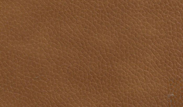 The leather grain7566