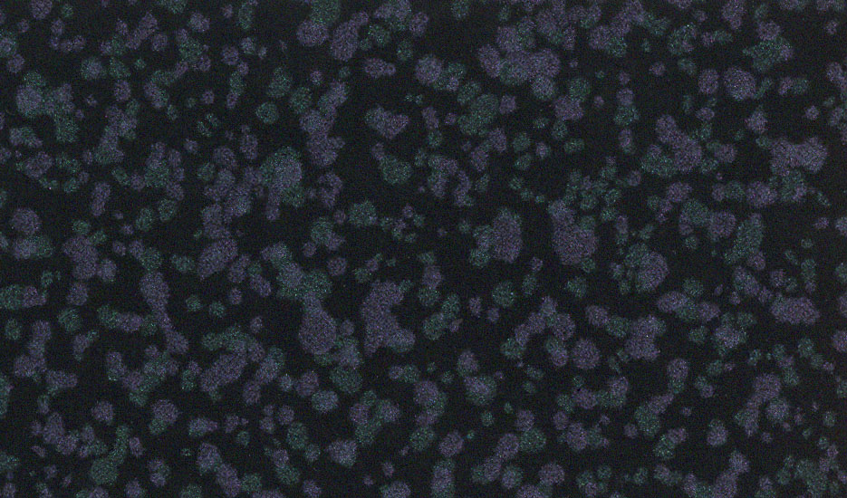 111X2变色龙